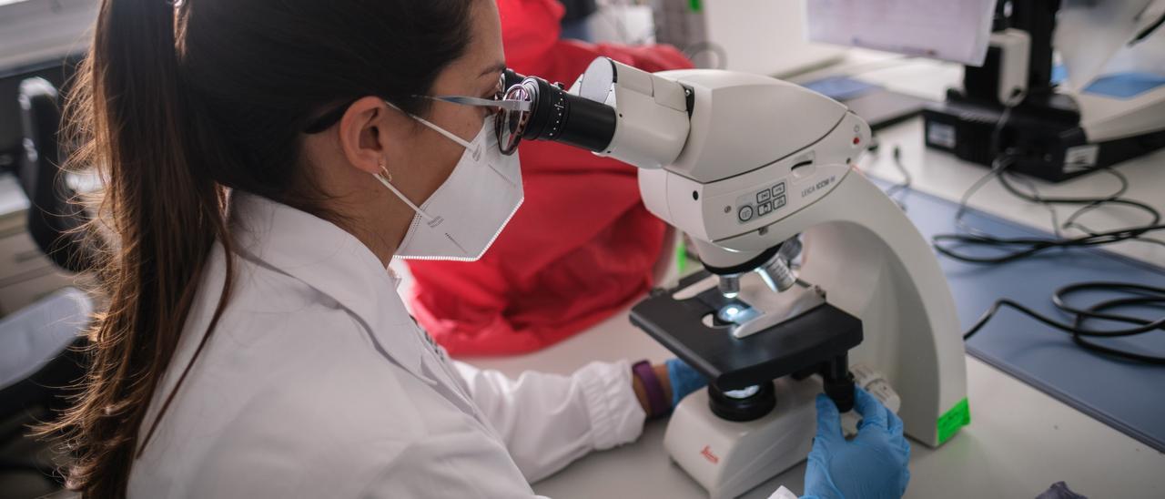 Una investigadora trabaja en laboratorios en las dependencias del Instituto de Enfermedades Tropicales de la ULL.