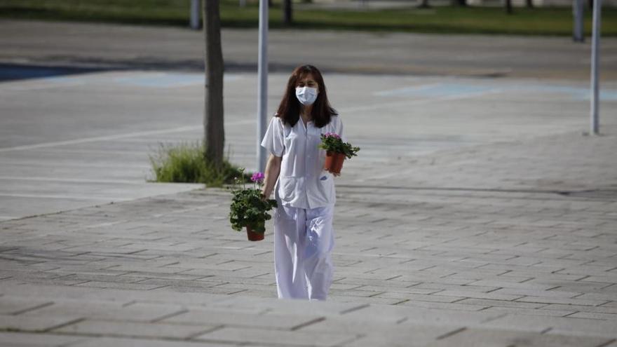 Una sanitaria, con las flores del vivero de Asprosub Zamora.