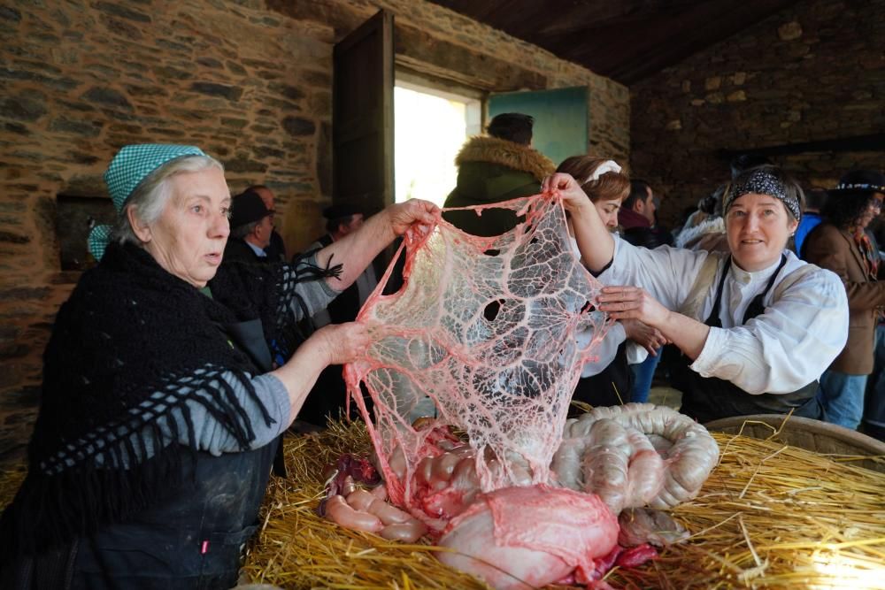 Donsión celebra por todo lo alto su Matanza Tradicional do Porco