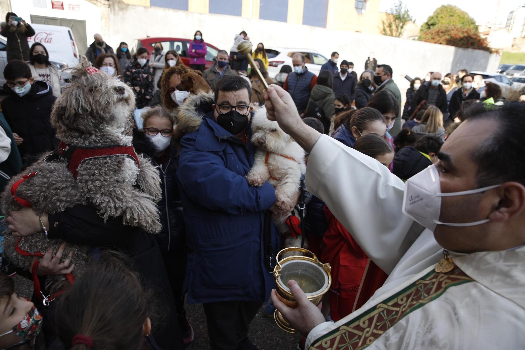 Bendición de mascotas en Gijón en la iglesia San Juan XXIII de Viesques