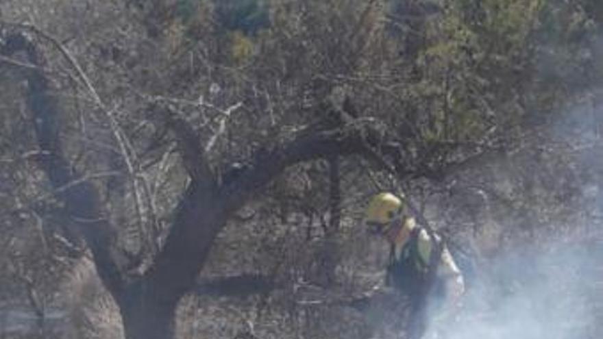 Incendio en Alcalà de Xivert en plena ola de calor