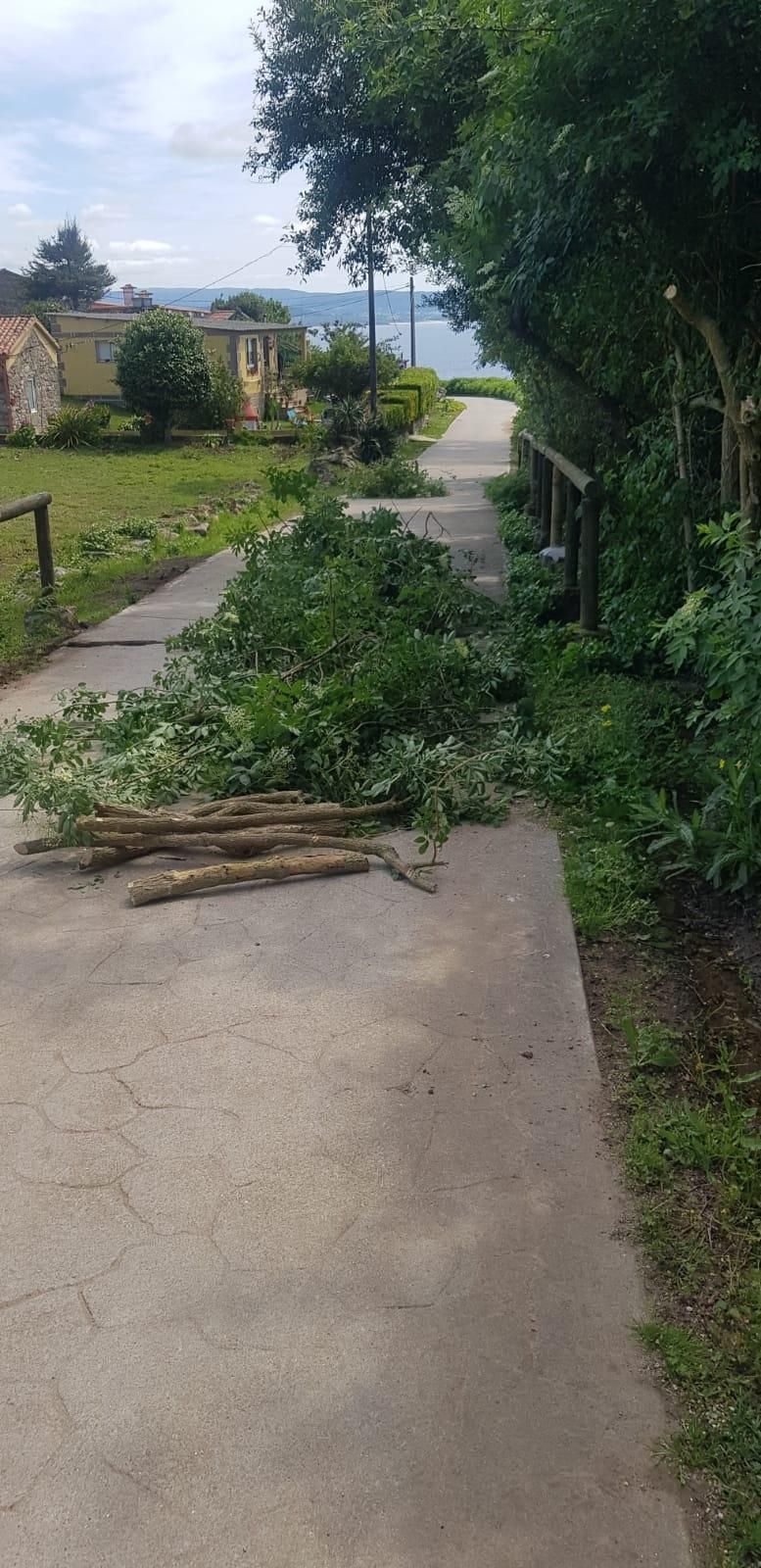La puesta a punto de Ons para el verano