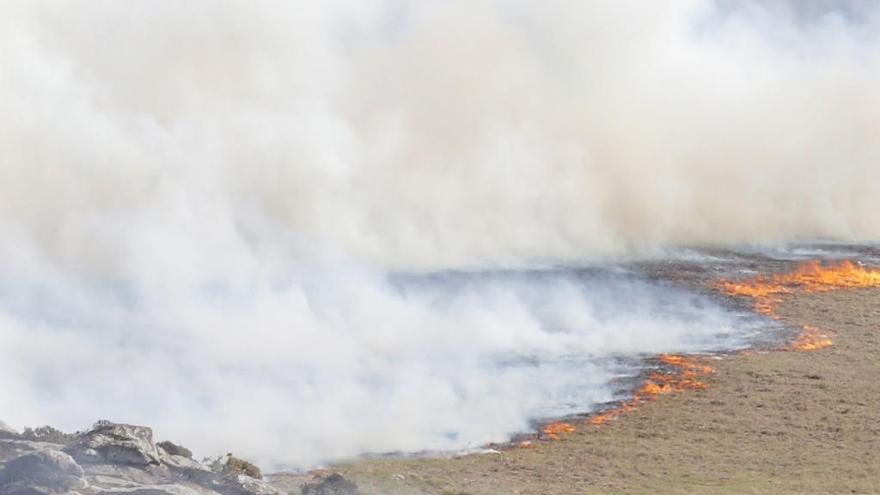 Caballos salvajes cerca del incendio de Cures, Boiro.