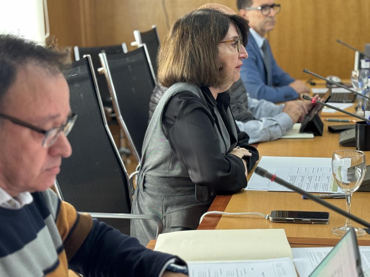 La rectora de la UA, Amparo Navarro, en el Consejo de Gobierno de este miércoles
