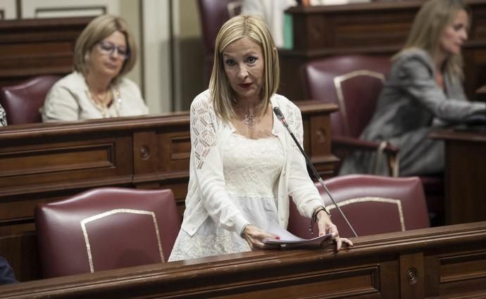 Pleno en el Parlamento de Canarias