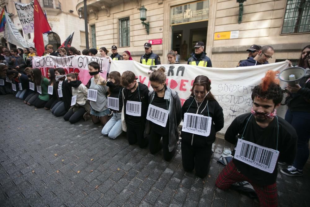 Medio millar de estudiantes vuelven a marchar contra la LOMCE