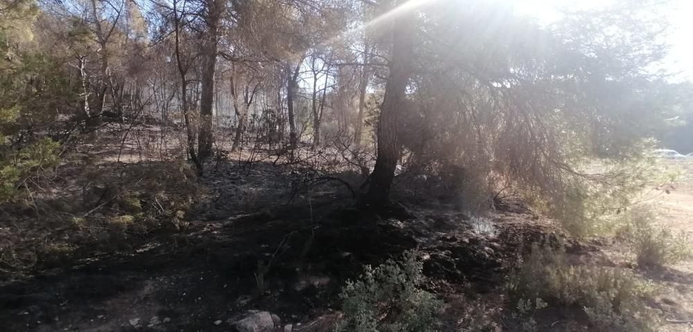 Labores de extinción esta mañana