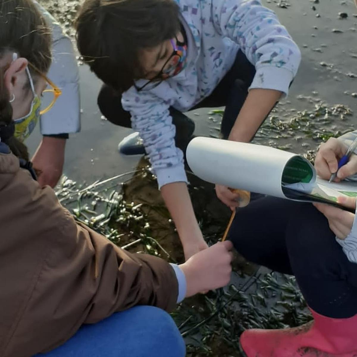Los alumnos pudieron estudiar las praderas marinas sobre el terreno.