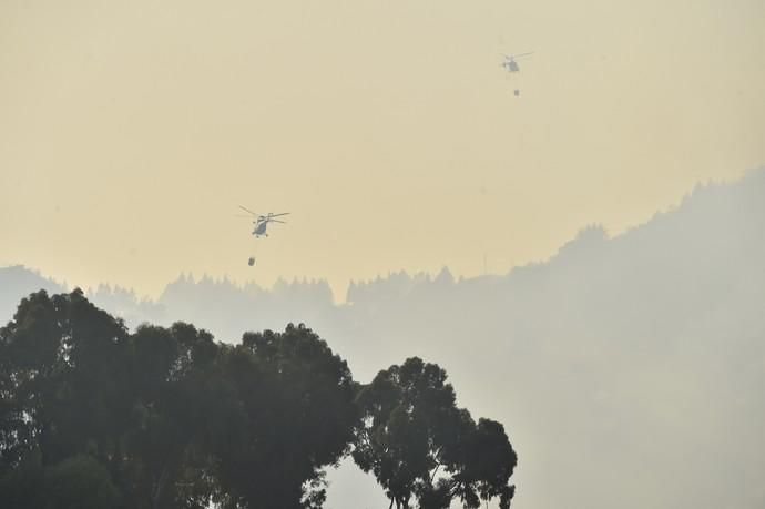 Incendio en la zona de cumbre de Gran Canaria