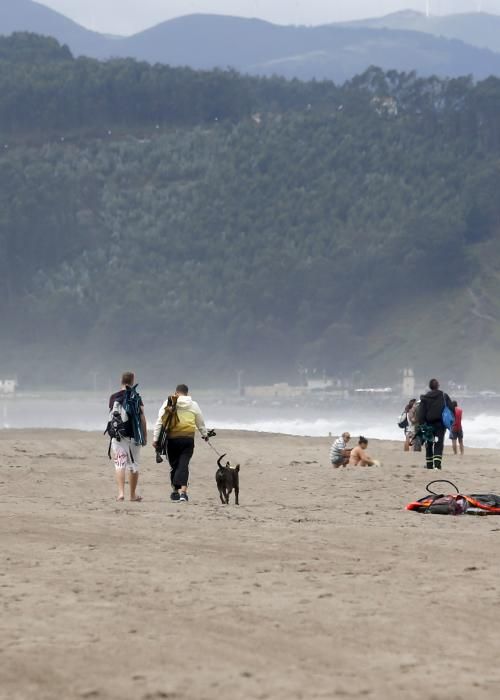 Reportaje sobre la playa de Bayas