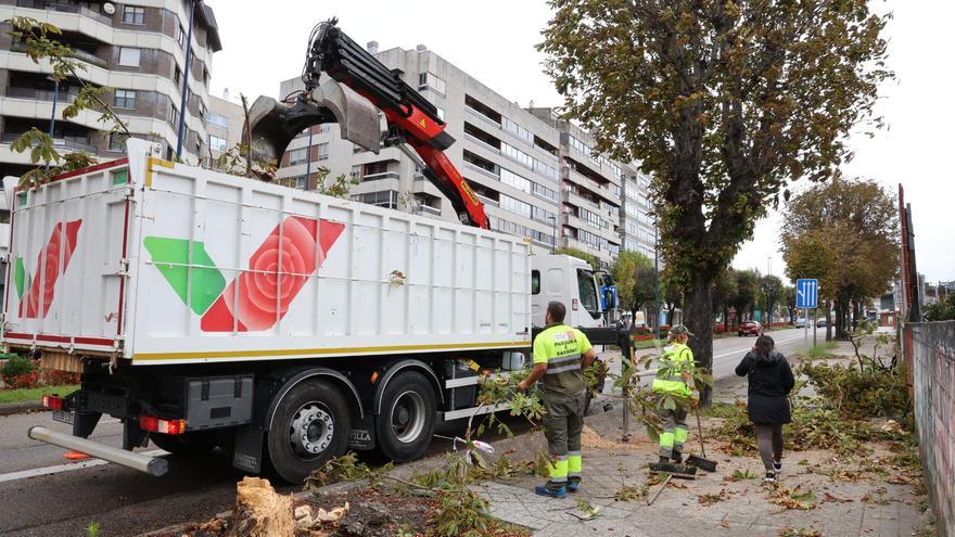 Herida grave una mujer tras desplomarse un árbol sobre su coche cuando circulaba por Gran Vía