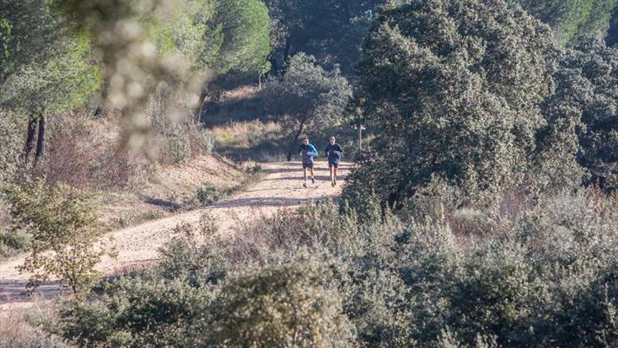 Imesapi asumirá el mantenimiento y la limpieza del parque de Tres Arroyos