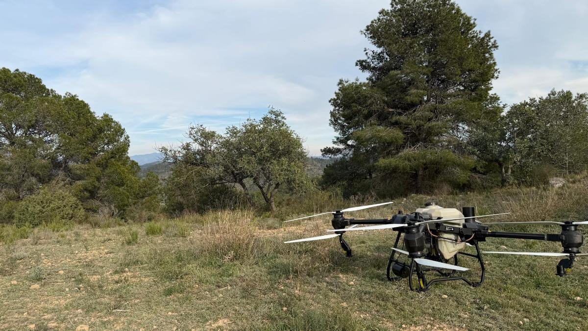 Tratamiento en dron contra la procesionaria en Soneja