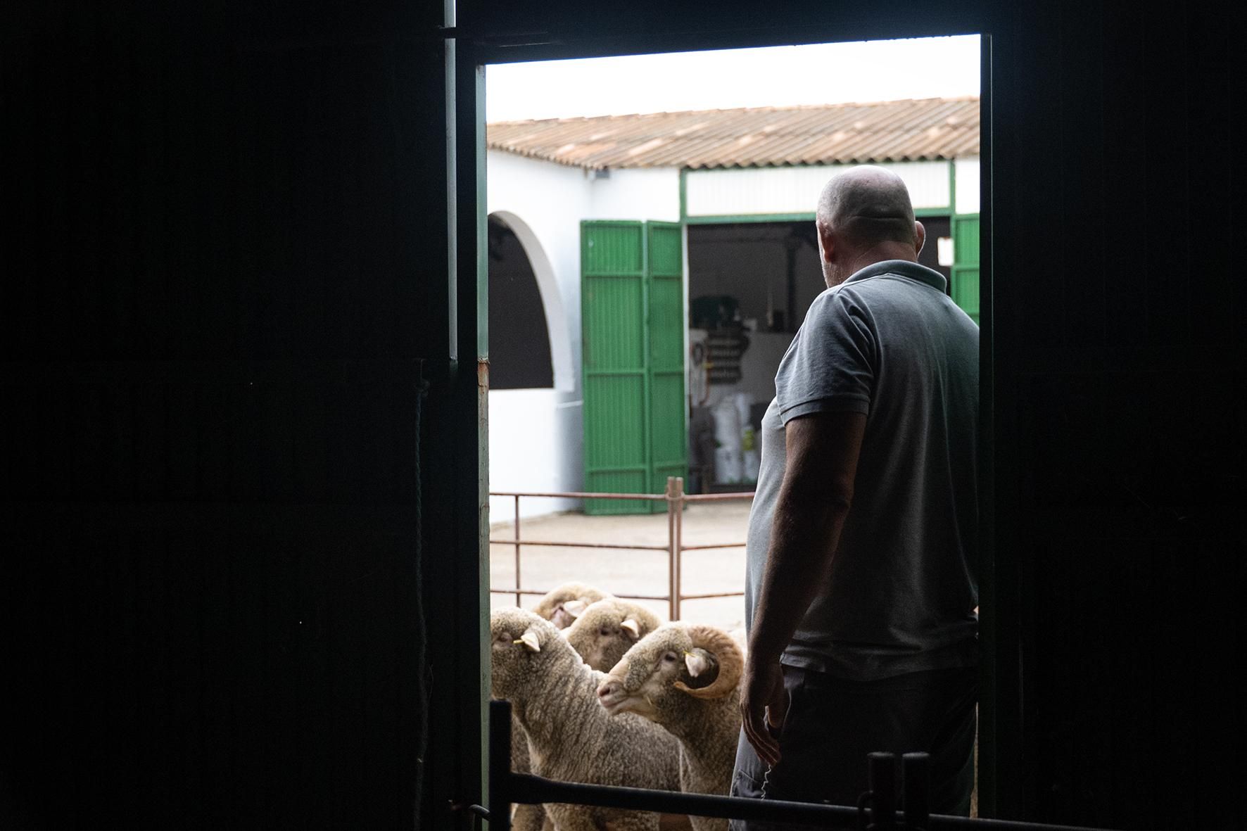 El alumnado de la Escuela de Pastores de Tajo-Salor-Almonte visitan las instalaciones ganaderas de la finca El Cuartillo.