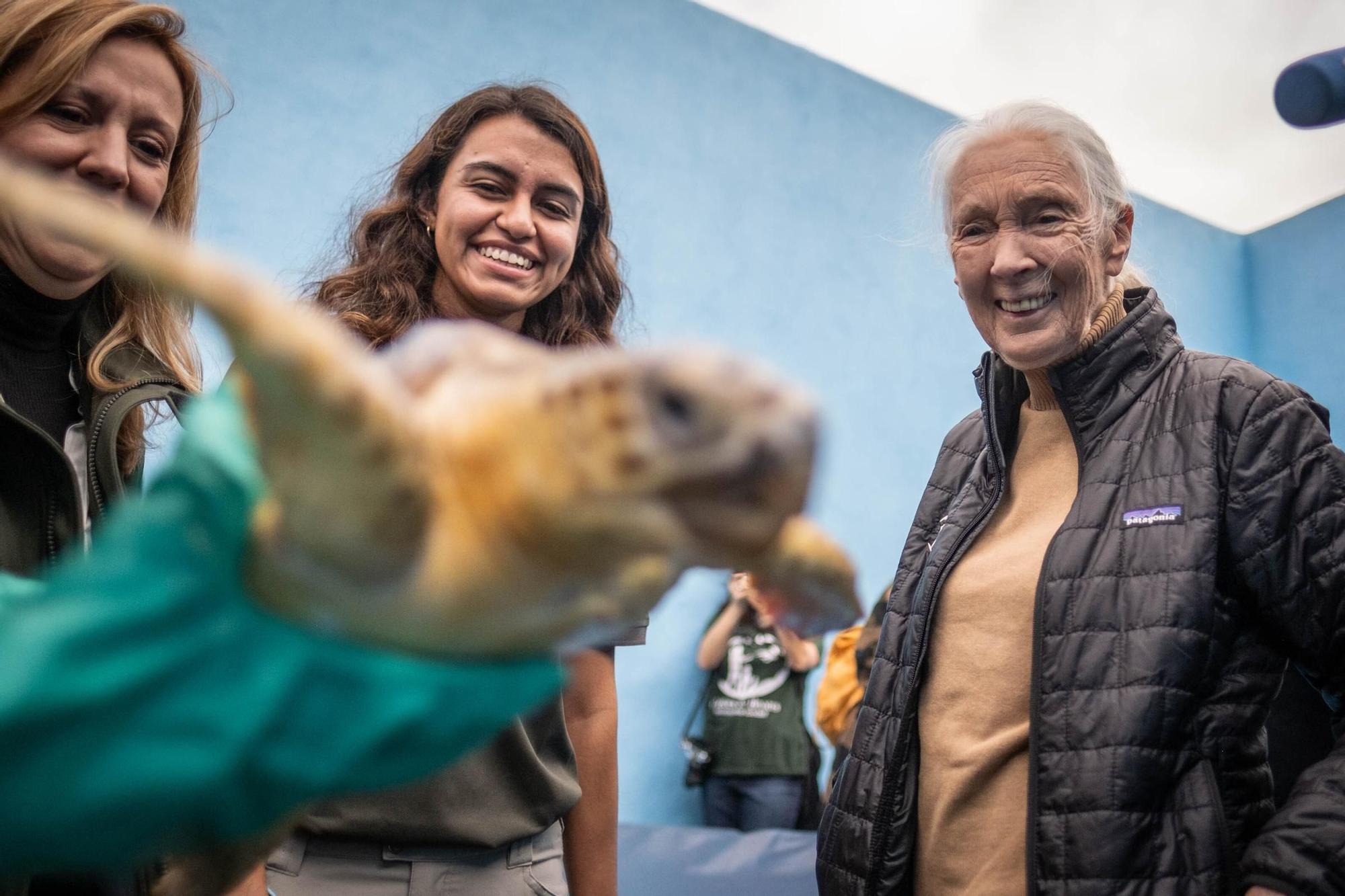 Jane Goodall visita distintos lugares en Tenerife