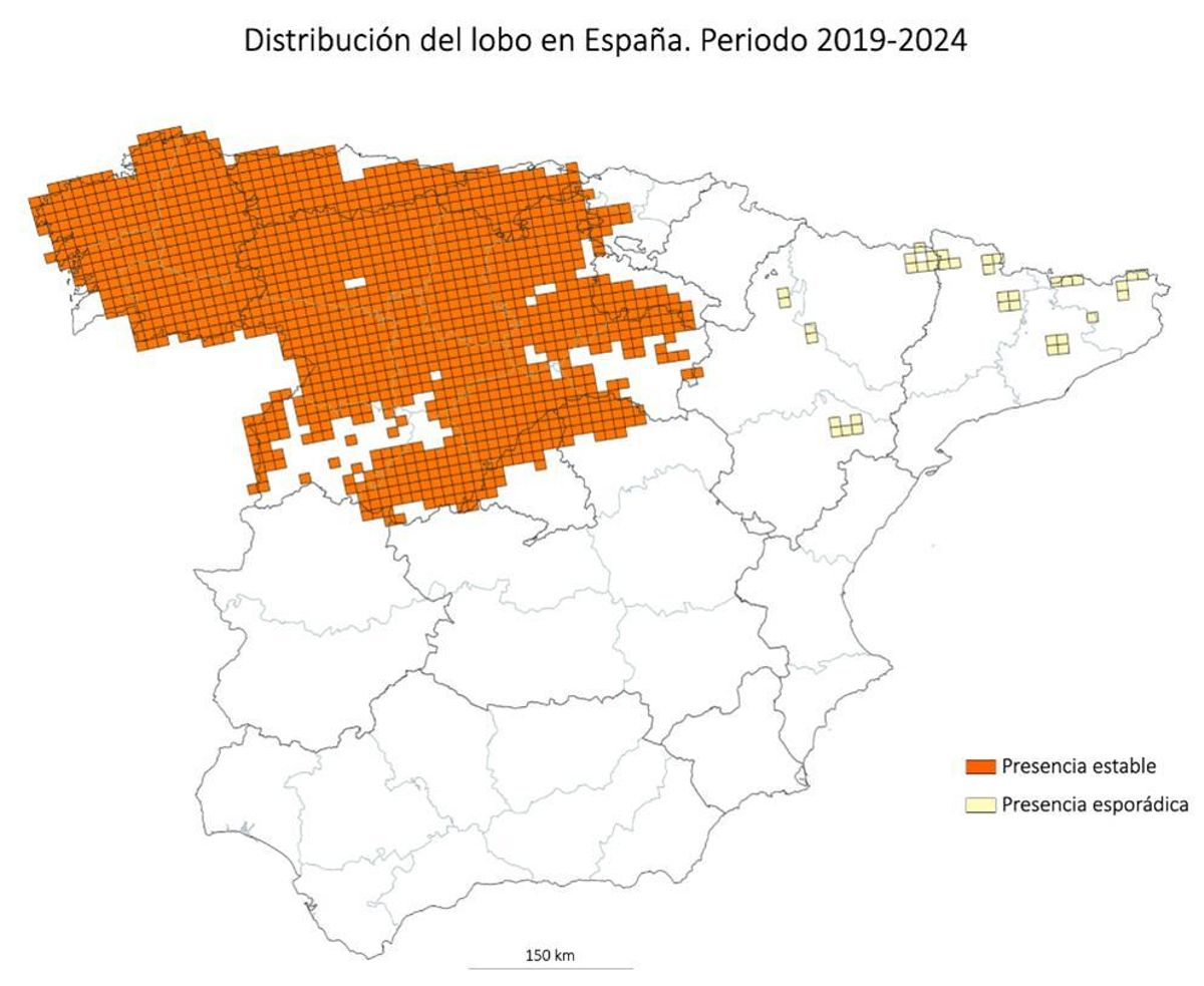 Gráfico.