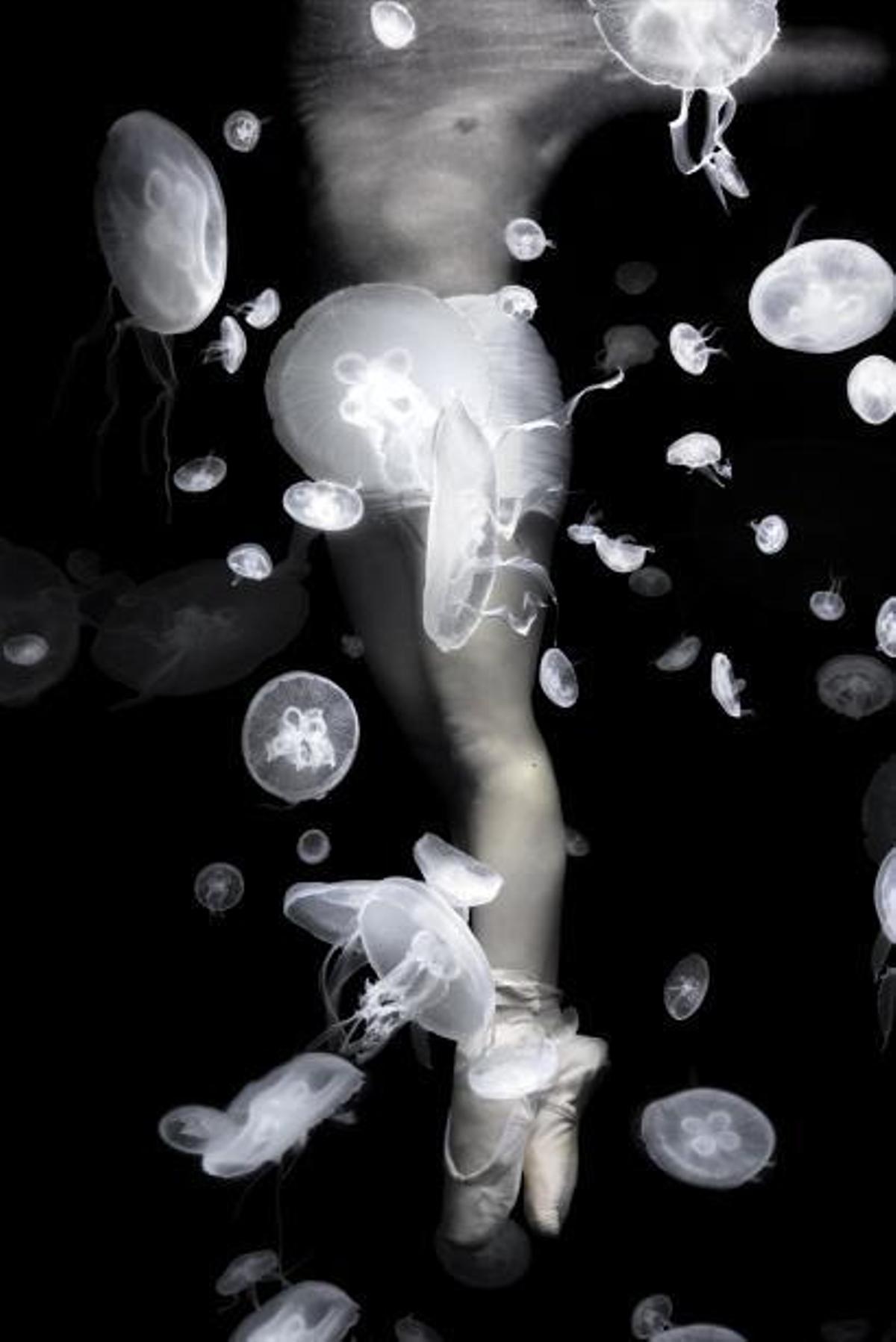 Las visiones de Isabel Muñoz se sumergen en l’Oceanogràfic