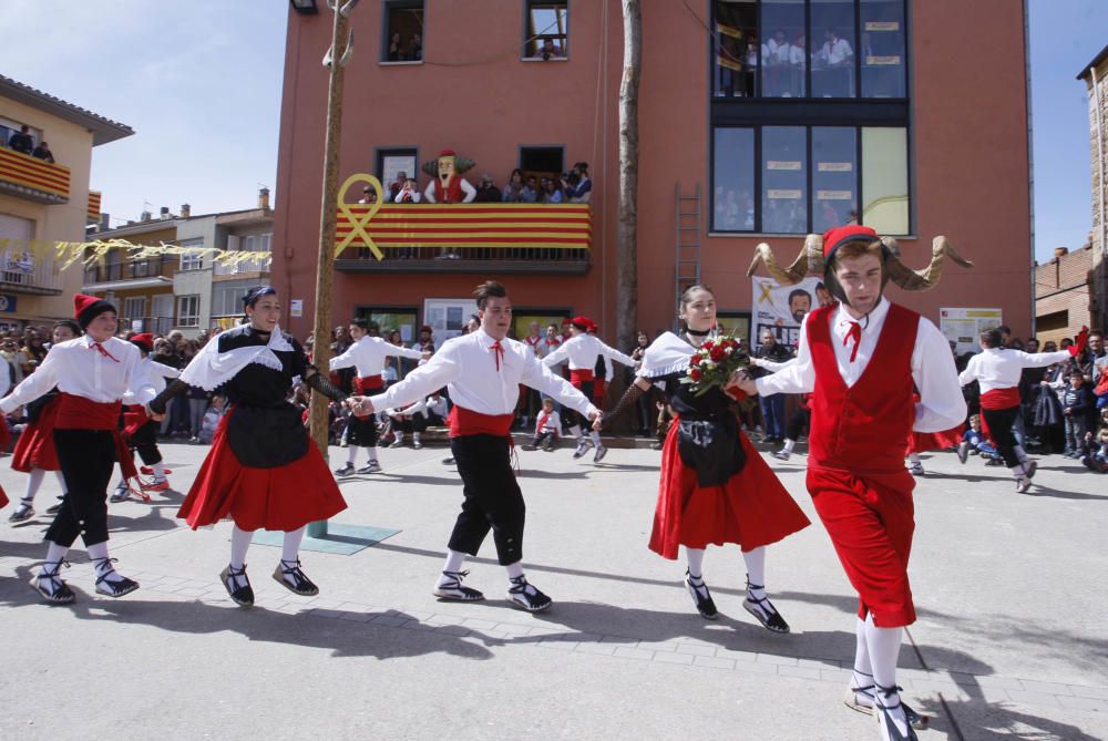 Cornellà del Terri celebra la plantada de l'Arbre i el Ball del Cornut