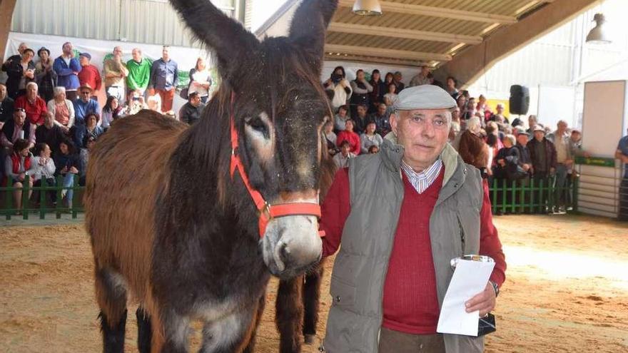 Subasta de buches en una edición anterior de la Feria de San Vitero.