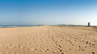 Esta es la playa secreta de Andalucía considerada la más tranquila del mundo: no tiene cobertura y está a una hora de Sevilla