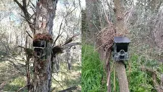 La cuenta de Instagram que muestra animales salvajes en Zaragoza: "No hace falta irte al Pirineo o al Moncayo"