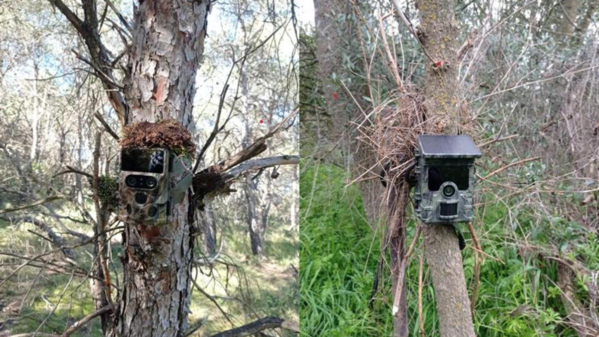 Cámaras utilizadas para el fototrampeo en Zaragoza