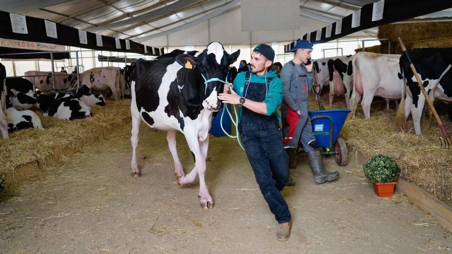 Ganaderos de vacuno de leche de Los Pedroches.