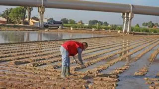 El Consell respalda las medidas del Consejo Nacional del Agua y dice que garantizan el trasvase Tajo-Segura