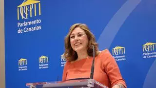 Astrid Pérez inicia su presidencia con el año de más actividad en la historia del Parlamento canario