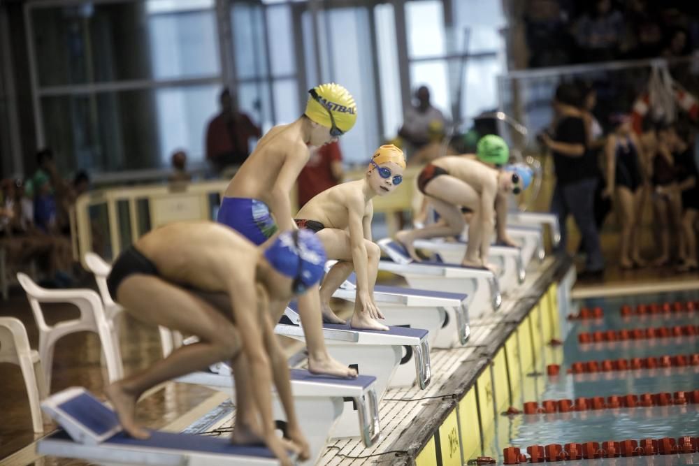 Trofeo Sant Sebastià de natación