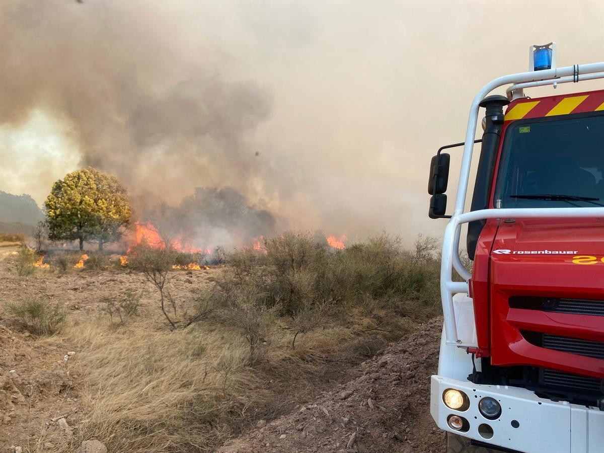 GALERÍA | Incendio forestal en Rábano de aAliste GALERÍA | Incendio forestal en Rábano de aAliste