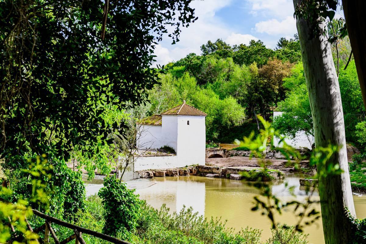 El pueblo sevillano convertido de origen islámico que es conocido como la “ciudad de los panaderos”