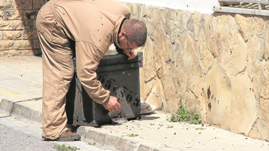 Retiran 4 enjambres de abejas del centro de Onda