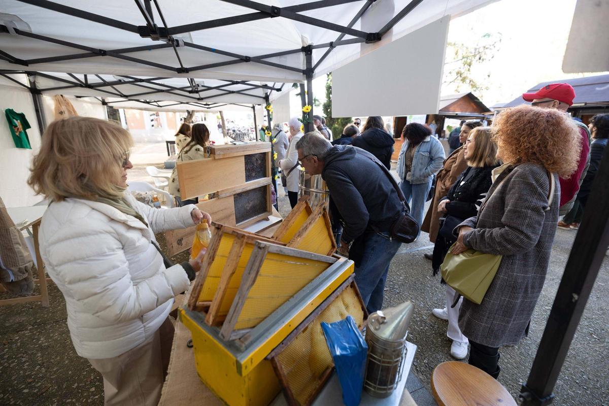Todas las imágenes del concurso de tortilla de patata 'vermella' de Ibiza