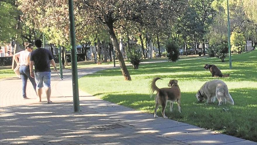 Vecinos llaman al civismo de los dueños de perros en Levante