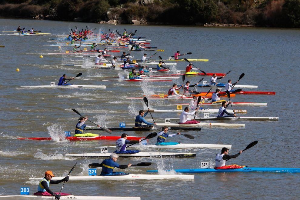 Zamora protagonista campeonato Castilla y León