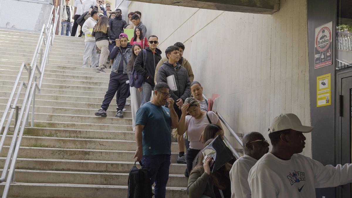 Largas colas en Palma para obtener el informe de vulnerabilidad