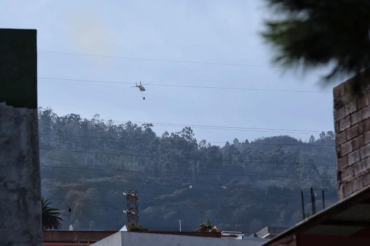 Los desalojados por la reactivación del incendio de Tenerife regresan a sus casas