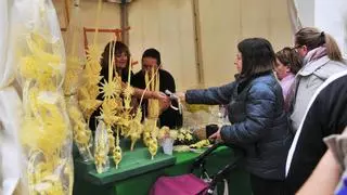 Las plagas en los huertos merman hasta un 20% la producción de palma blanca