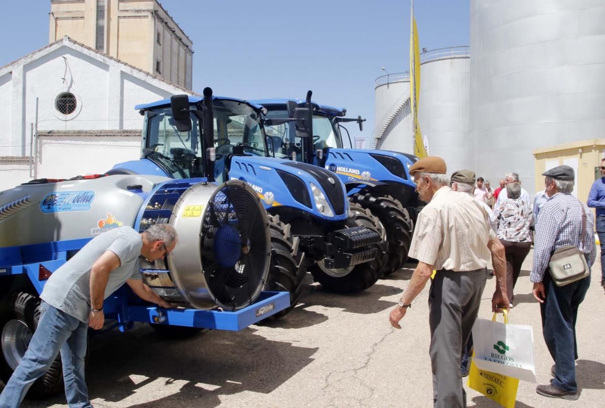 Inaugurada la principal feria del olivar de España en Montoro