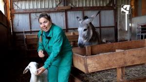 TvyMas: Cosas que me pasan mientras miro la tele