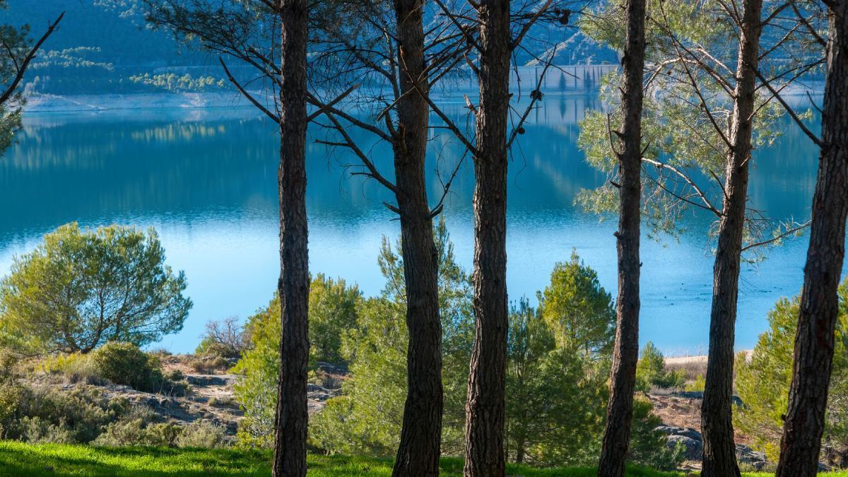 Las playas de agua dulce en 40 kilómetros de costa a solo una hora y media de Madrid: se le conoce como el 'Mar de Castilla'
