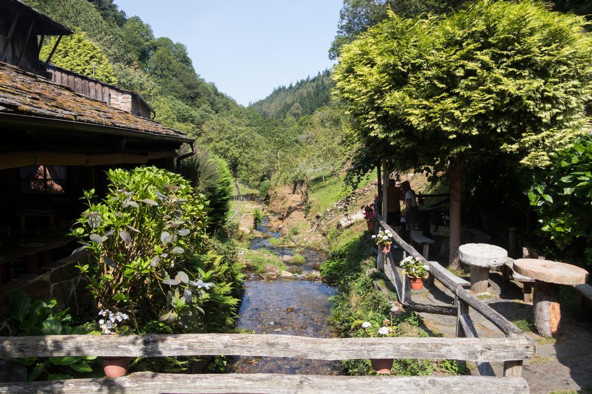 El río Turía a su paso por Os Teixois
