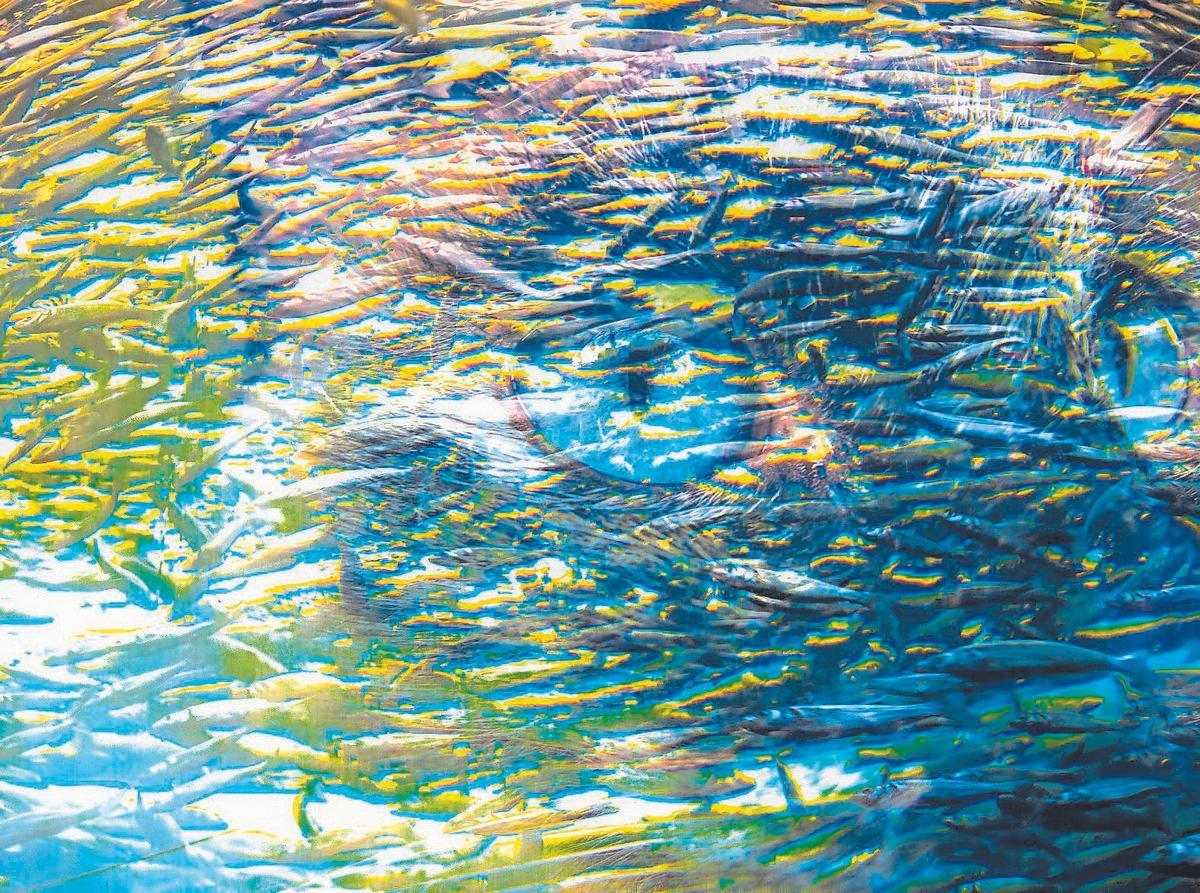 Imágenes de la serie ‘Mystic' de María Pisaca