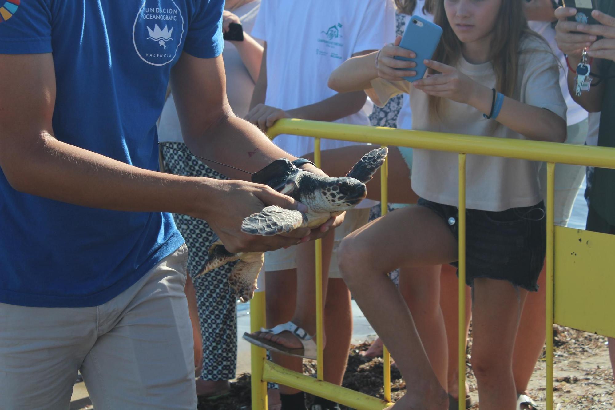 Una gran fiesta que conciencia: las tortugas vuelven al mar en Dénia