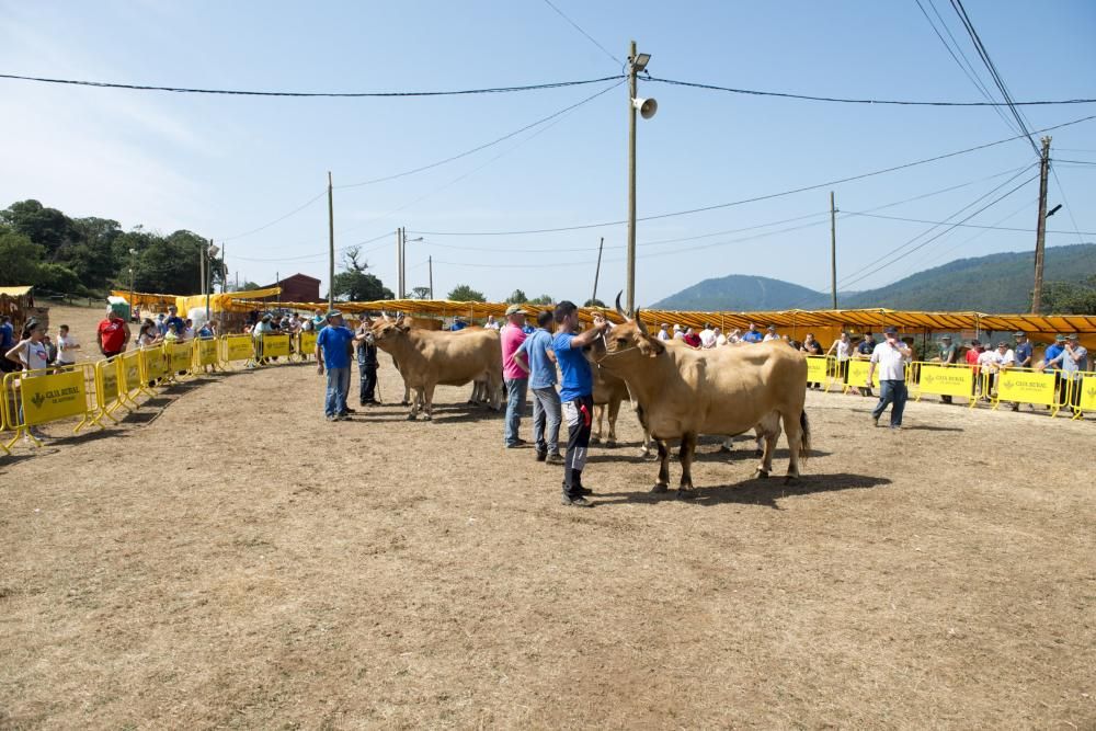 Feria de ganado en Santullano