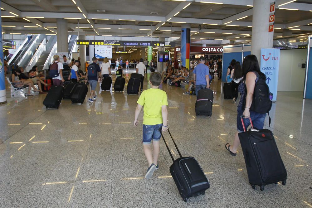 Zum Abschluss der Sommerferien in Spanien herrscht auf dem Flughafen von Mallorca Hochbetrieb: Zwischen Freitag (26.8.) und Montag (29.8.) werden insgesamt mehr als 600.000 ankommende und abfliegende Passagiere registriert.