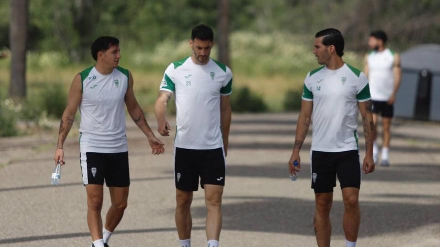 Así podrían salir el Córdoba CF y el Sporting de Gijón en El Arcángel: posibles alineaciones para un duelo marcado por las matemáticas