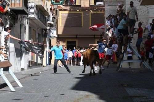 Segundo Encierro de las Fiestas de Moratalla por vereda