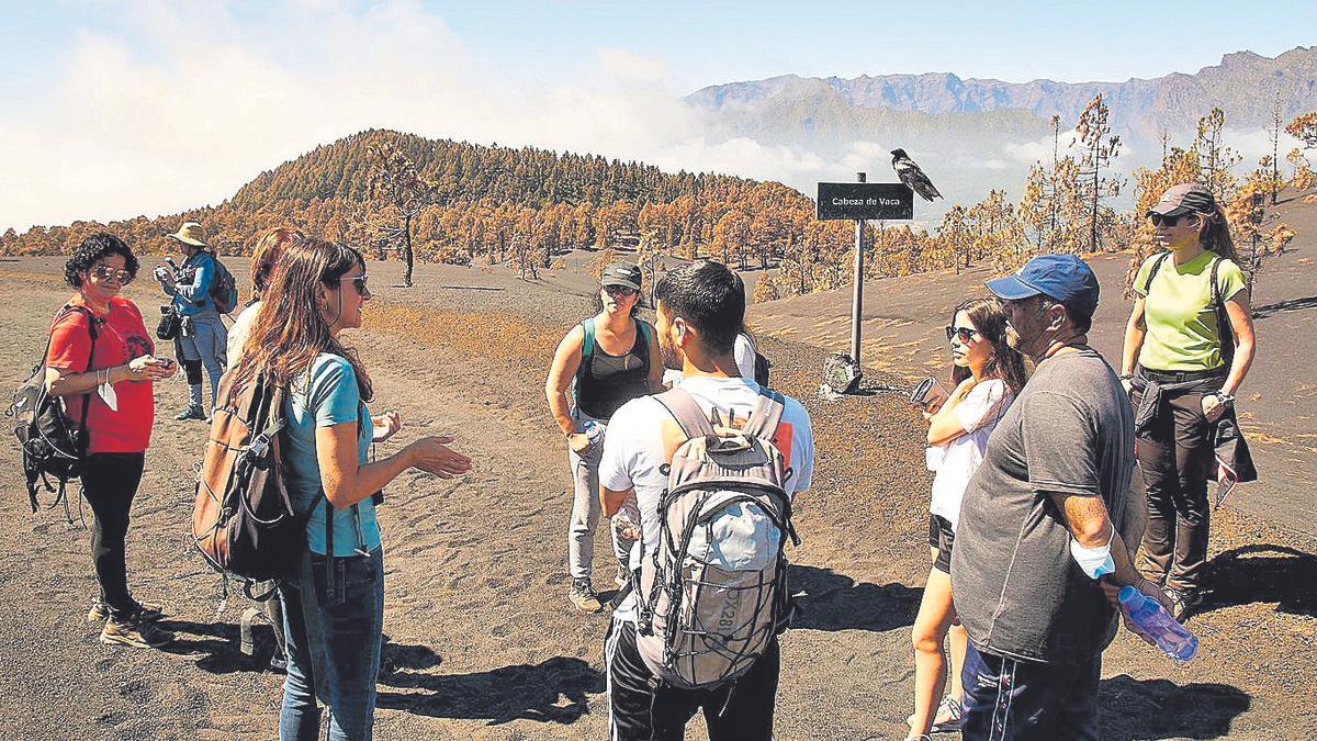 Visitas al volcán de La Palma.